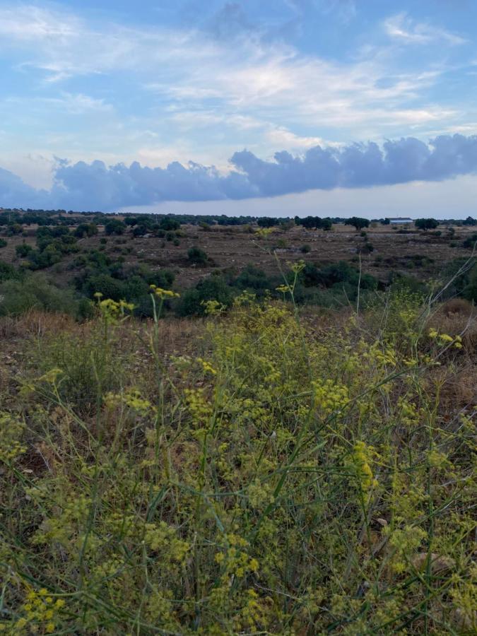 בית הארחה דונאפוגאטה 	Tenuta Cammarana מראה חיצוני תמונה