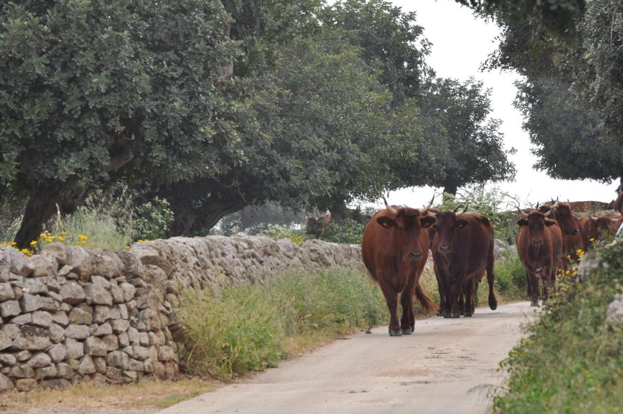 בית הארחה דונאפוגאטה 	Tenuta Cammarana מראה חיצוני תמונה