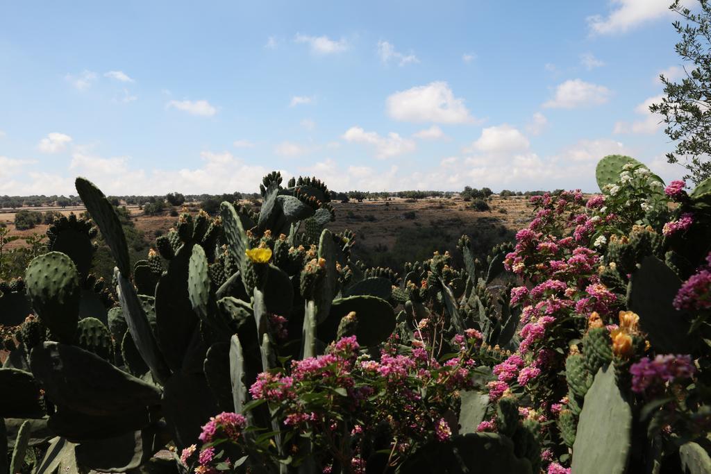 בית הארחה דונאפוגאטה 	Tenuta Cammarana מראה חיצוני תמונה